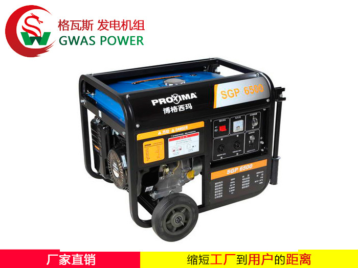 Gasoline Generator Sets